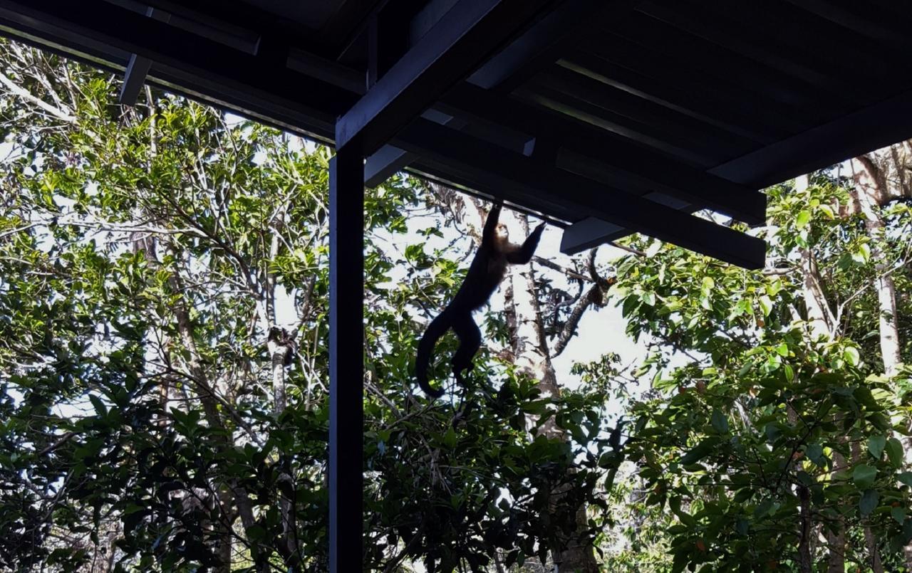 Above The Gulf, Vacation House Monteverde Εξωτερικό φωτογραφία